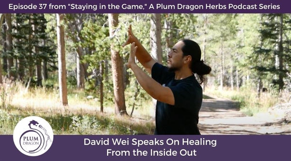 EP37 David Wei Speaks On Healing From the Inside Out
