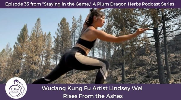 Wudang Kung Fu Artist Lindsey Wei Rises From the Ashes