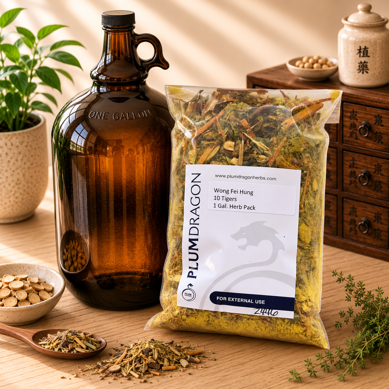 Wong Fei Hung 10 Tigers Dit Da Jow Herb Kit with 1 Gallon Jug on apothecary counter
