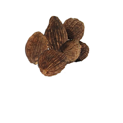 Cao Guo (Fructus Tsaoko)