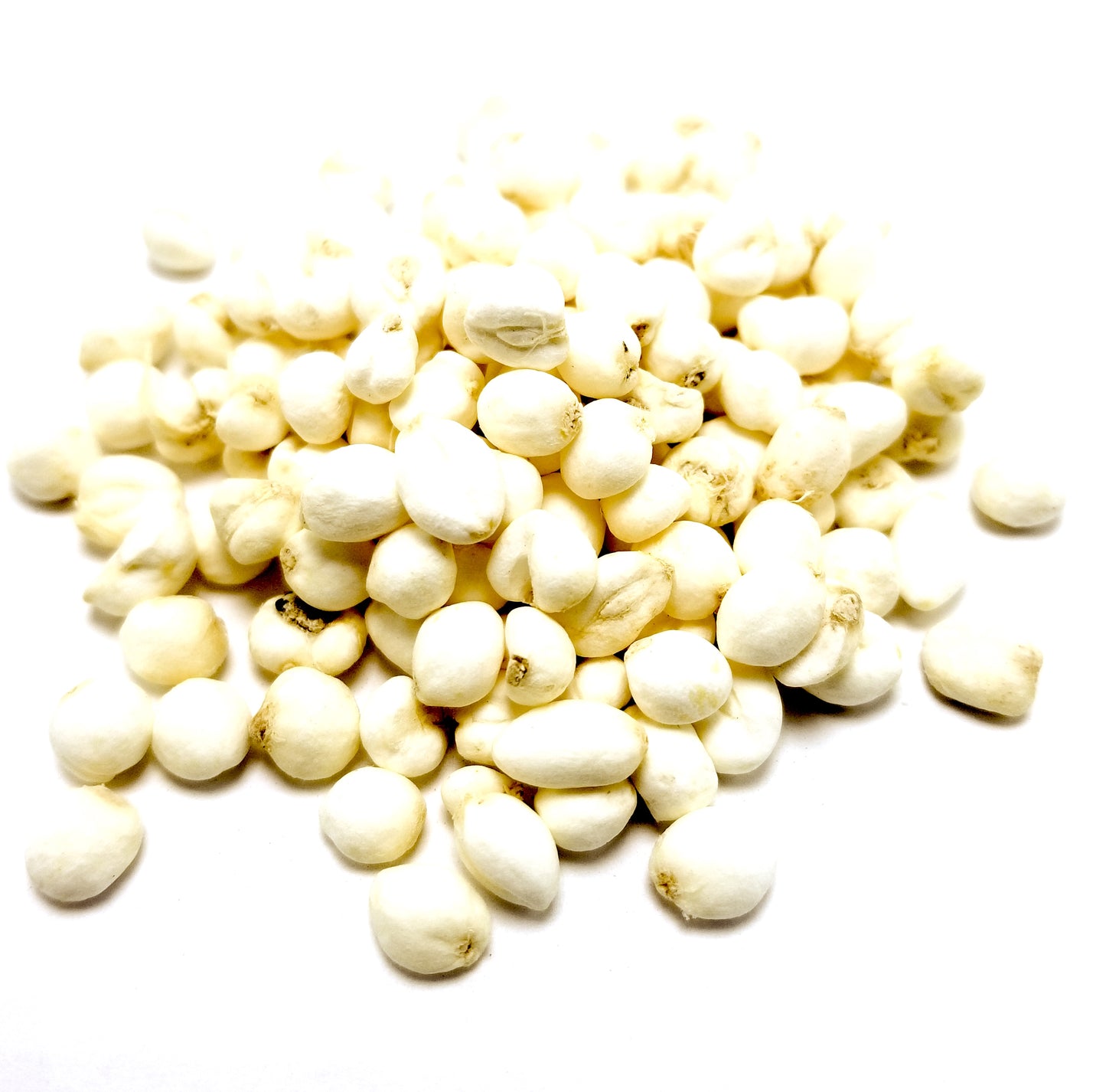 Chuan Bei Mu (Fritillaria Bulb)
