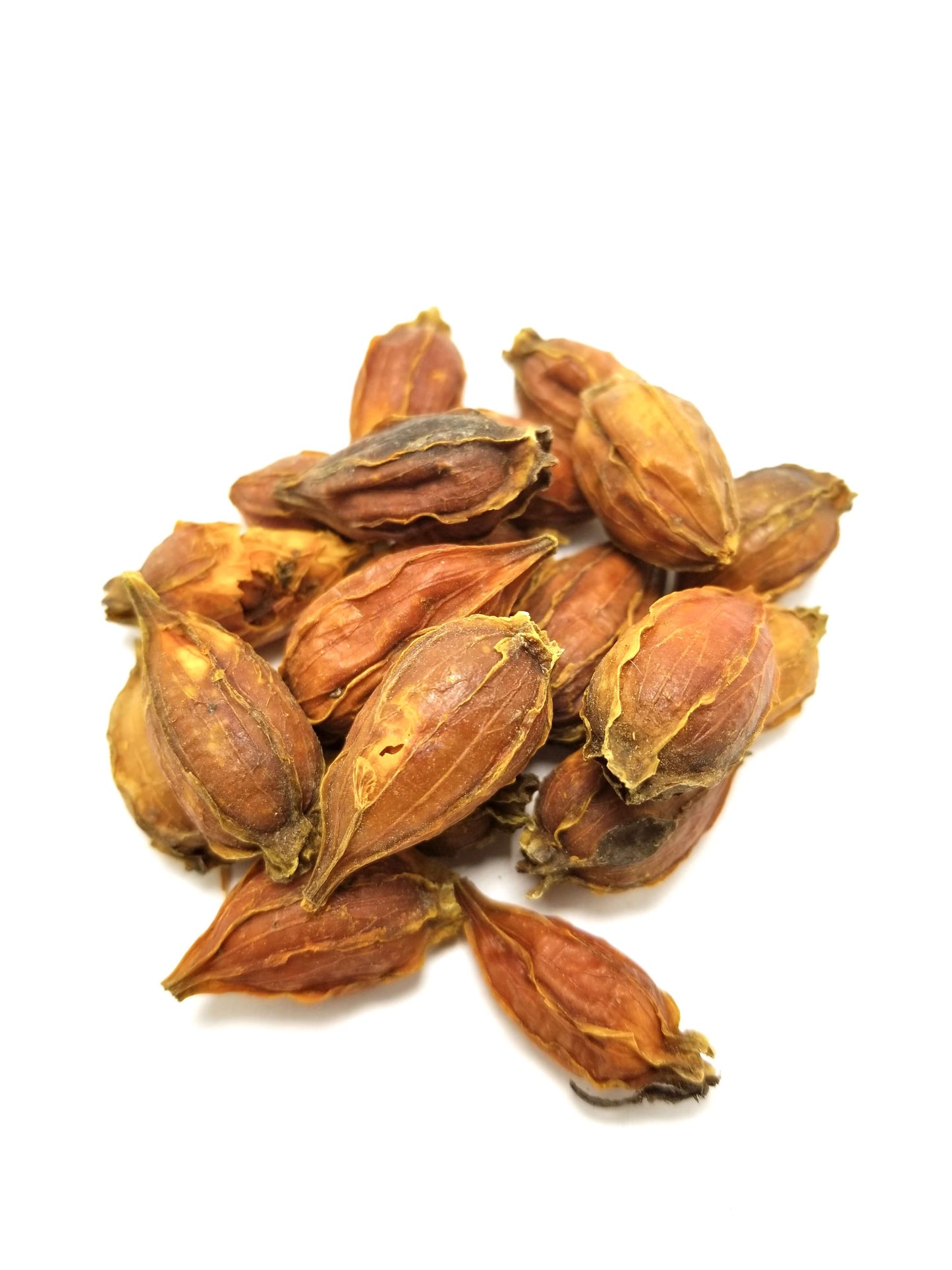 Zhi Zi (Gardenia Fruit)