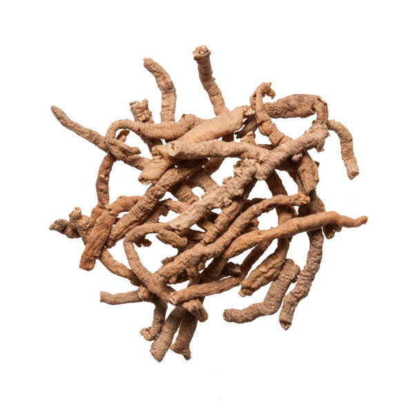 Yuan Zhi (Polygala Root)