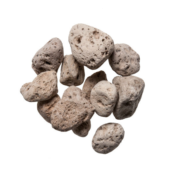 Fu Hai Shi (Pumice) - Whole Chinese Herb Supplier - Plum Dragon Herbs