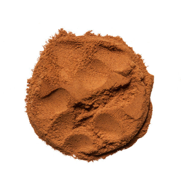 Cinnamon Powder (Cinnamomum cassia) - Wholesale Herbs - Plum Dragon