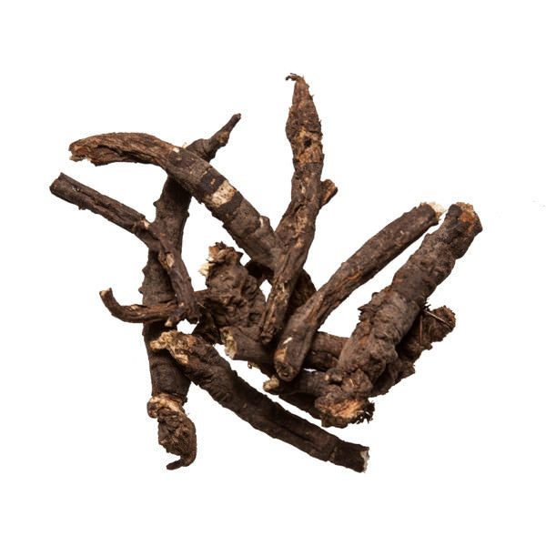 Tie Da Yin Chen (Osha Root)