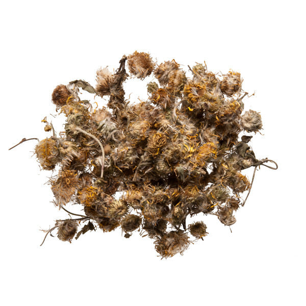 Xuan Fu Hua (Inula Flower)