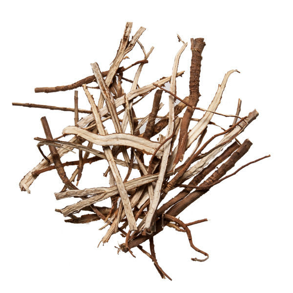 Chai Hu (Thorowax Root; Bupleurum) - Chinese Herbal Remedy - Plum Dragon