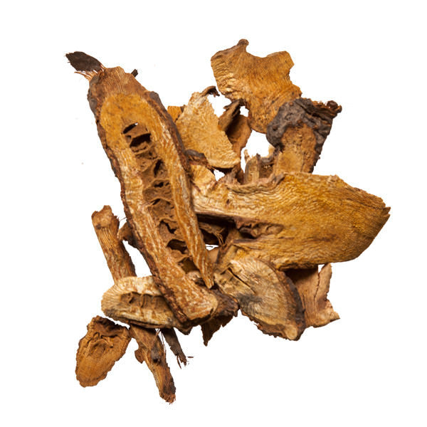 Hu Zhang (Japanese Knotweed) - Chinese Herbal Medicine