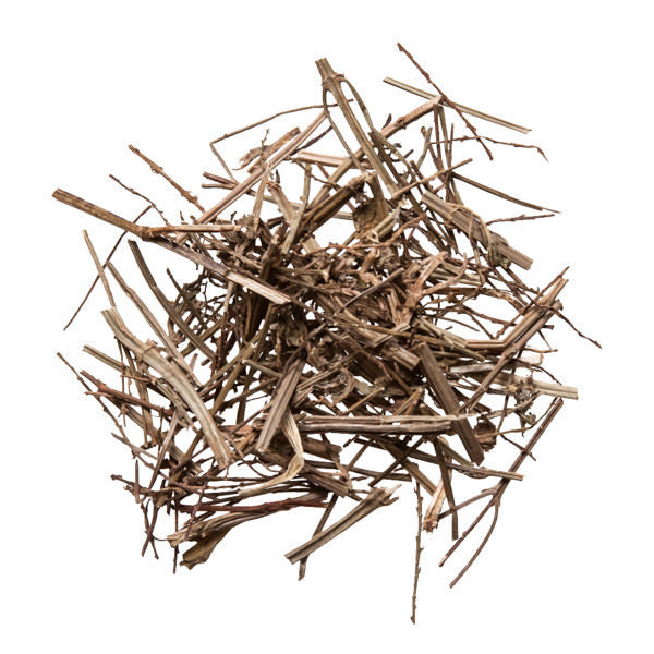 Ma Bian Cao (Verbena) - Chinese Herbal Medicine - Plum Dragon Herbs