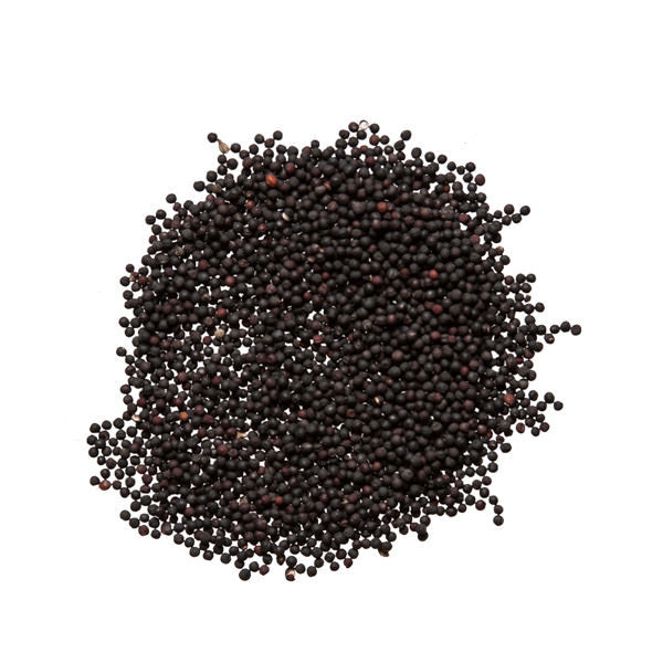 Wang Bu Liu Xing Zi (Vacarria Seed)