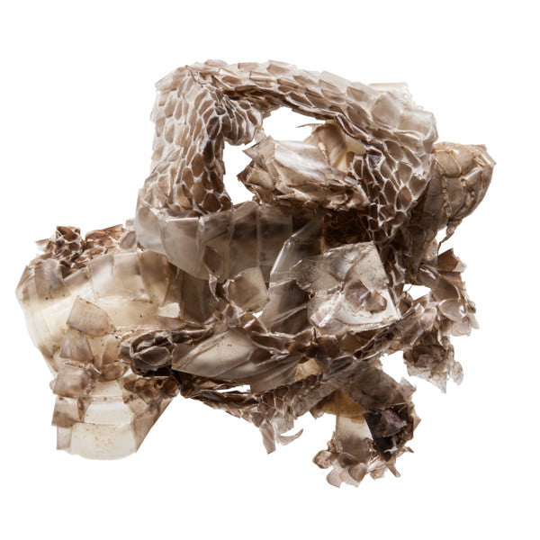 She Tui (Snake Skin)
