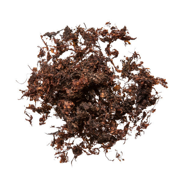 Hai Zao (Sargassum, Seaweed) - Bulk Chinese Herb Supplier for Acupuncture