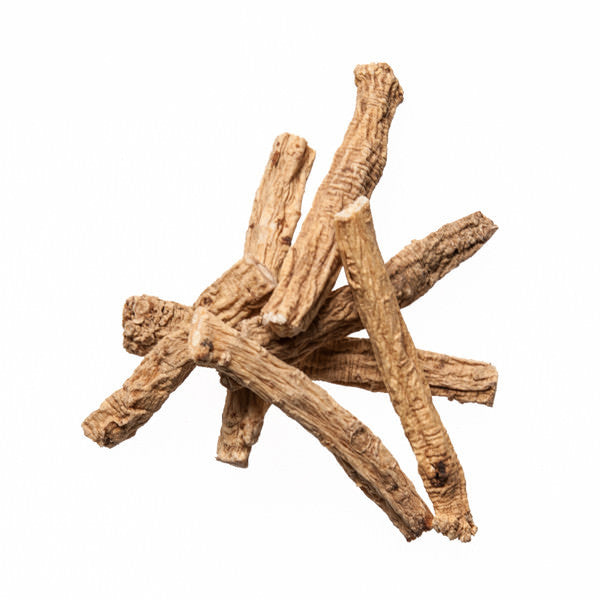 Dang Shen (Codonopsis) - TCM Herbs for Acupuncture - Plum Dragon Herbs