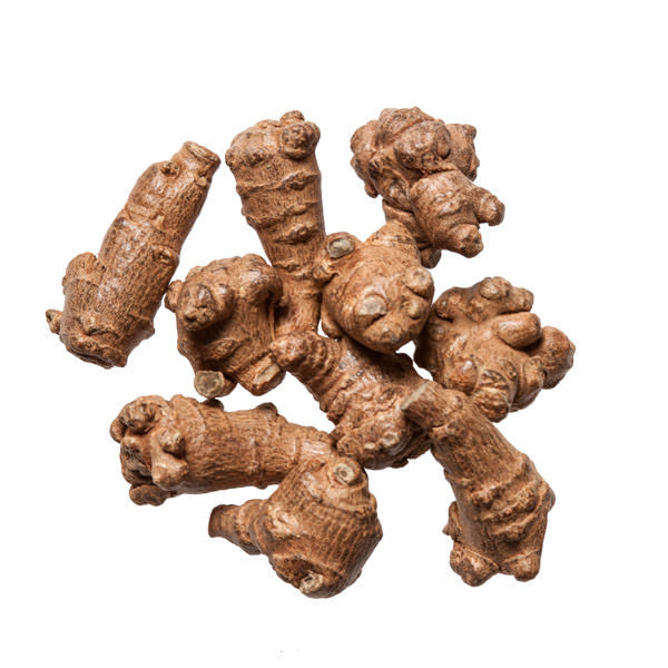 San Qi - Tian Qi (Pseudoginseng Root)