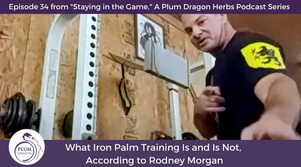 EP34 What Iron Palm Training Is and Is Not, According to Rodney Morgan