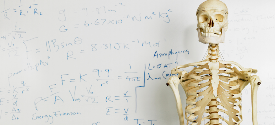 Ancient Chinese Remedies for Strong Bones