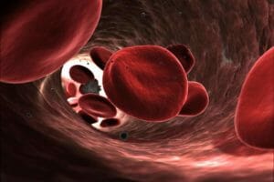 Herbs that Improve Circulation and Promote Healing