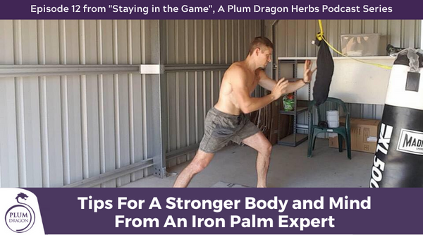 EP12 Tips for a Stronger Body and Mind From an Iron Palm Expert