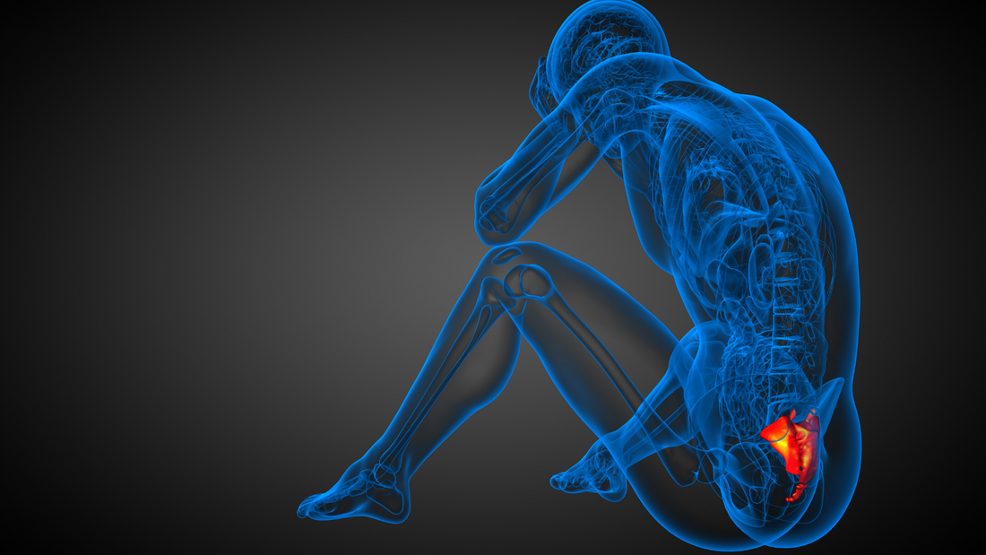 Healing Coccydynia: How to Alleviate Tailbone Pain From Coccyx Bruise or Fracture