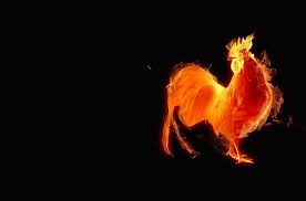 What Does the Year of the Fire Rooster Mean for Your Health?