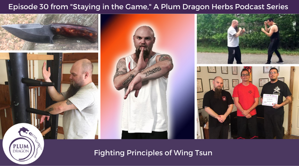Jason Malik Shares Fighting Principles of Wing Tsun