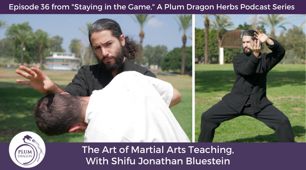 martial arts teaching with jonathan bluestein
