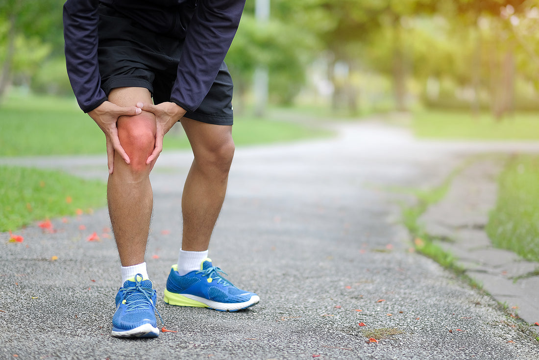 Relieving Symptoms Joint Pain Arthritis Chinese Herbs Dit Da Jow