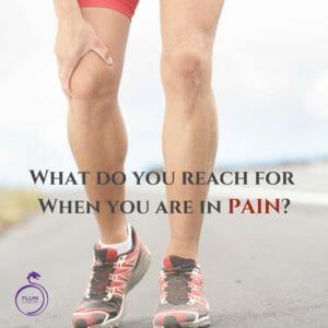 TCM Herbs for Chronic Musculoskeletal Pain