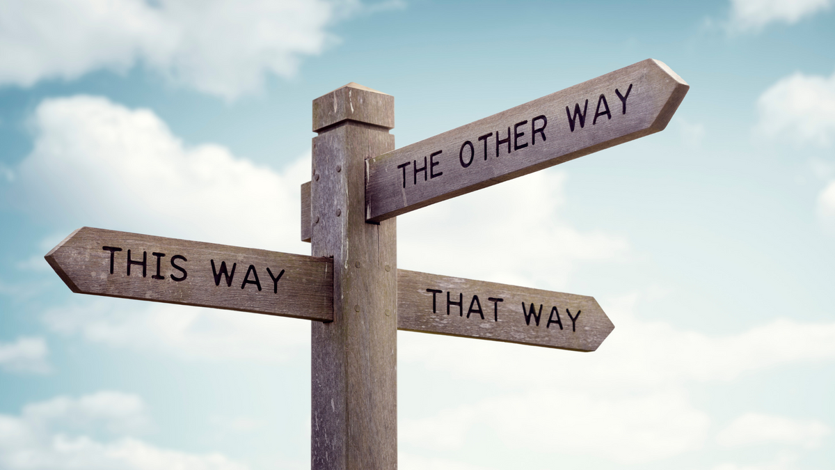 Which is the Best Dit Da Jow Formula for Your Training Goals?