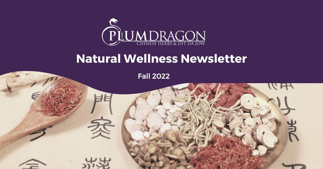 Natural Remedies for Brain Fog