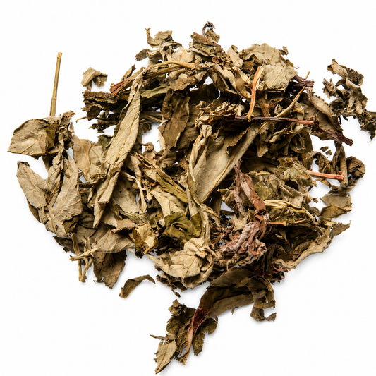 Ai Ye (Artemisia Mugwort Leaf) on white background