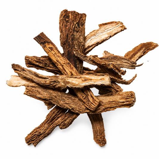 Dried Bai Bu Stemona roots on a white background