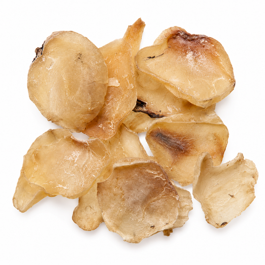 Dried Bai Fu Zi on a white background