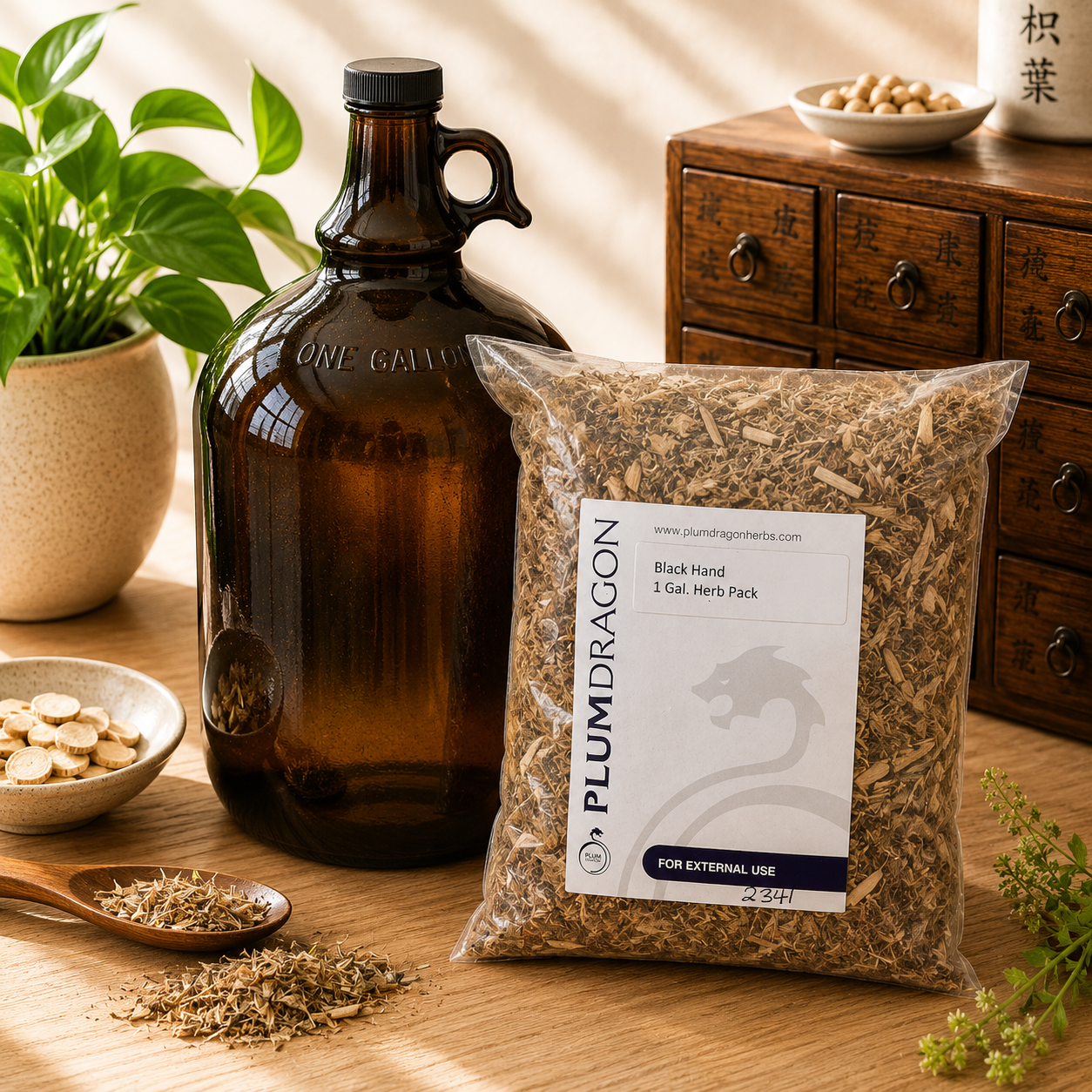 Black Hand Iron Palm Dit Da Jow Herbs with 1 Gallon Jug on apothecary counter