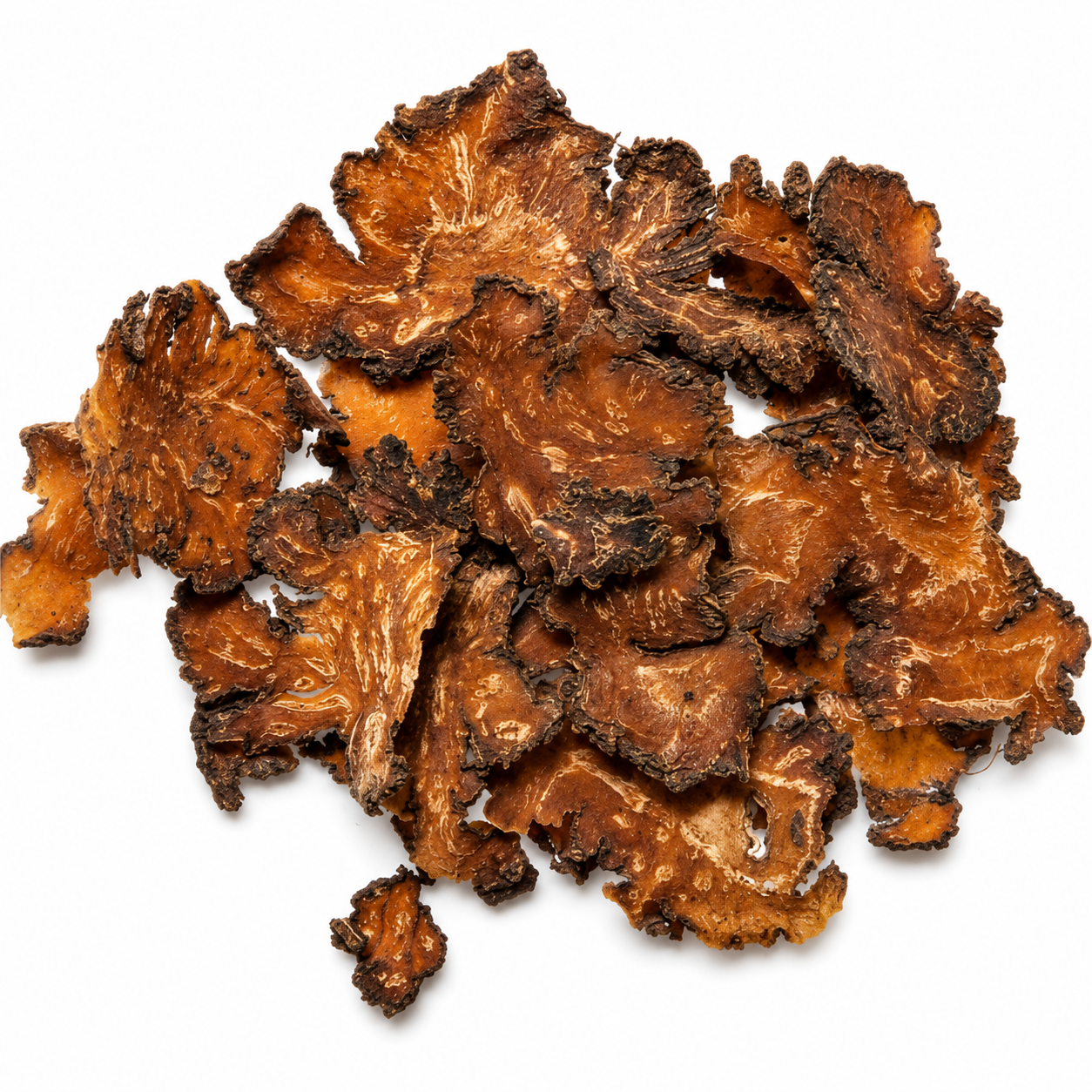 Dried Chuan Xiong herb on a white background