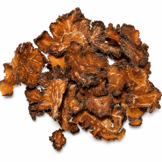 Dried Chuan Xiong herb on a white background