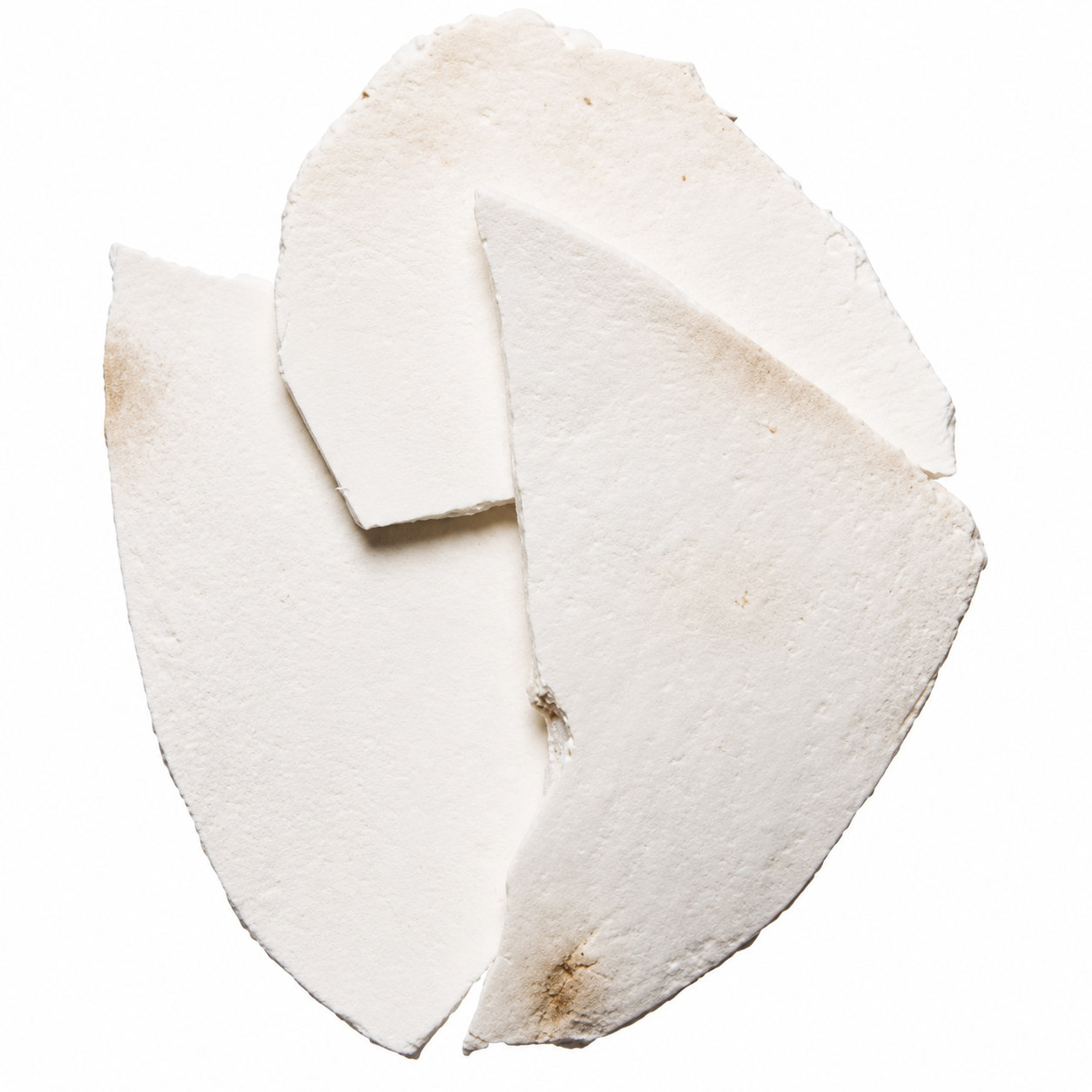 Dried Fu Ling (Poria cocos) on white background