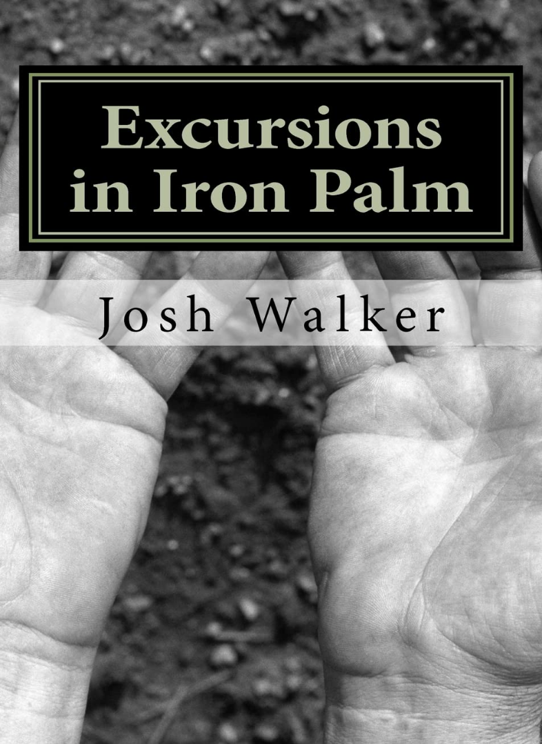 Excursions in Iron Palm Book