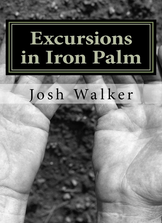 Excursions in Iron Palm Book