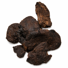 Pile of Sheng Di Huang (Rehmannia Root) on white background
