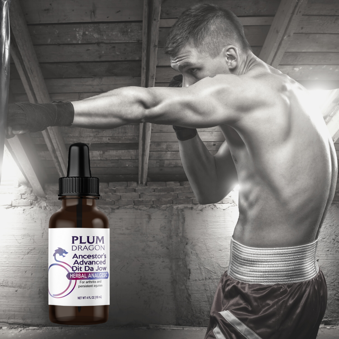 Boxer uses Ancestors Advanced Dit Da Jow for fist conditioning in training