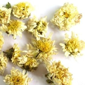 Chrysanthemum Flowers - Wholesale Herbs for Tea - Plum Dragon Herbs