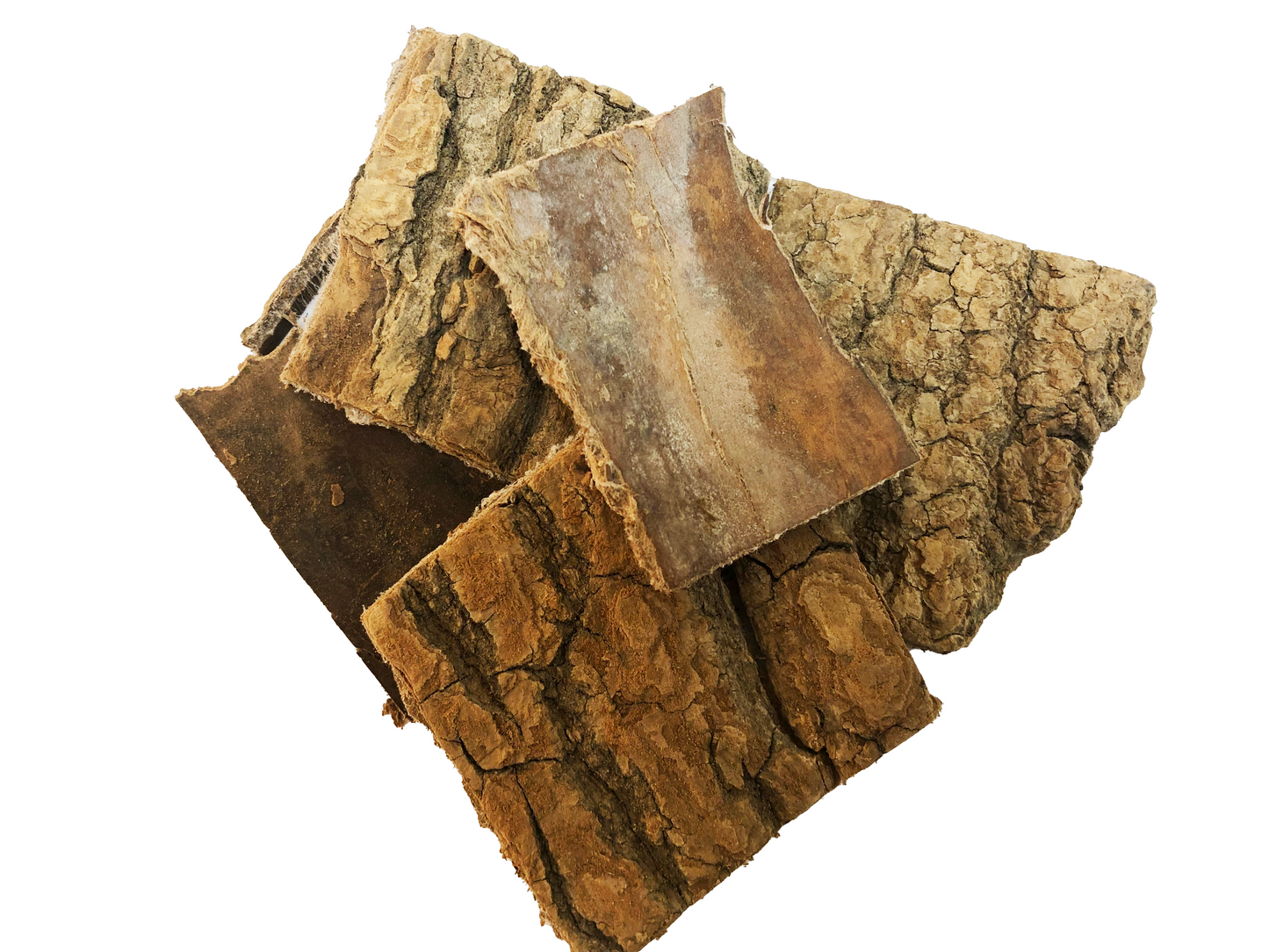 Du Zhong (Eucommia Bark)