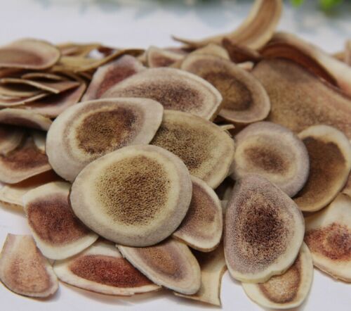 Lu Rong (Deer Antler)