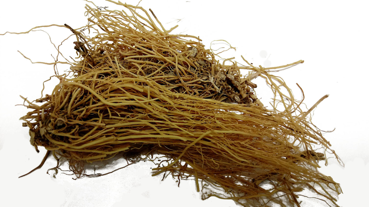 Xi Xin (Wild Ginger)