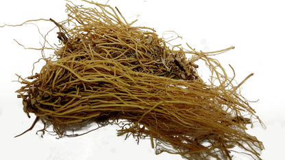 Xi Xin (Wild Ginger)