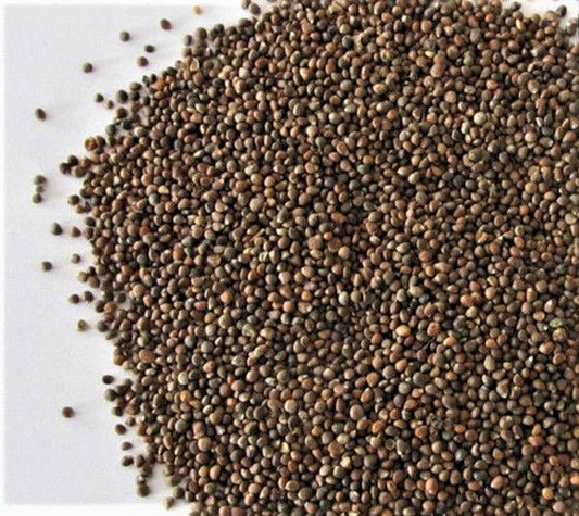 Zi Su Zi (Perilla Seed)