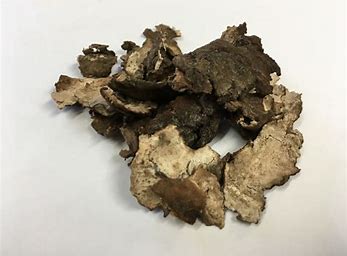 Fu Ling Pi (Poria Skin)