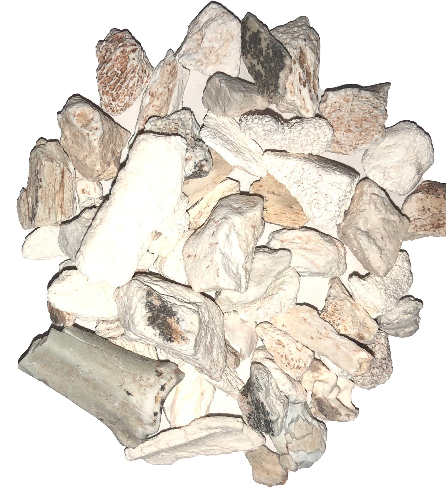 Long Gu (Duan)